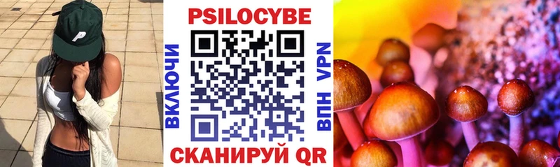 Галлюциногенные грибы Cubensis  дарнет шоп  Юрьев-Польский 
